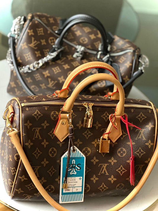 LV  speedy bag