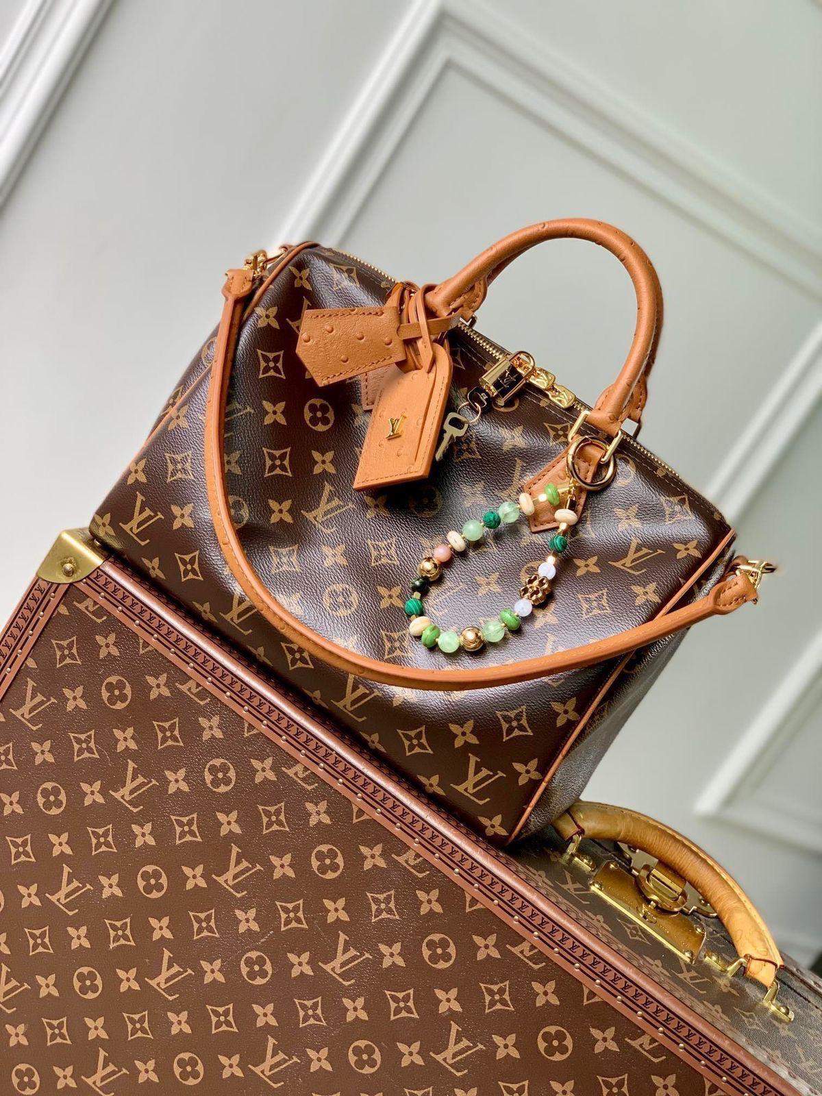 LV  speedy bag