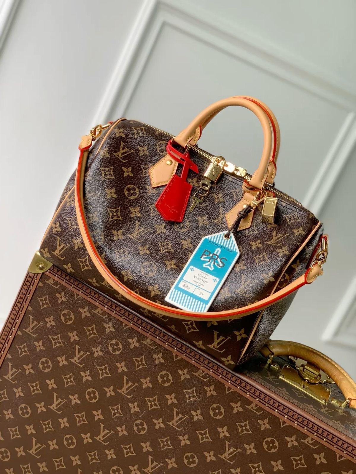 LV  speedy bag