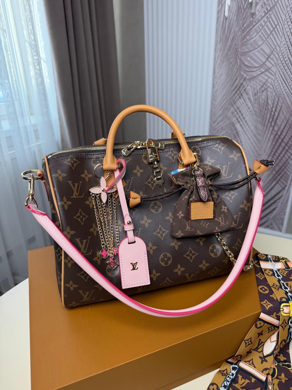 LV  speedy bag