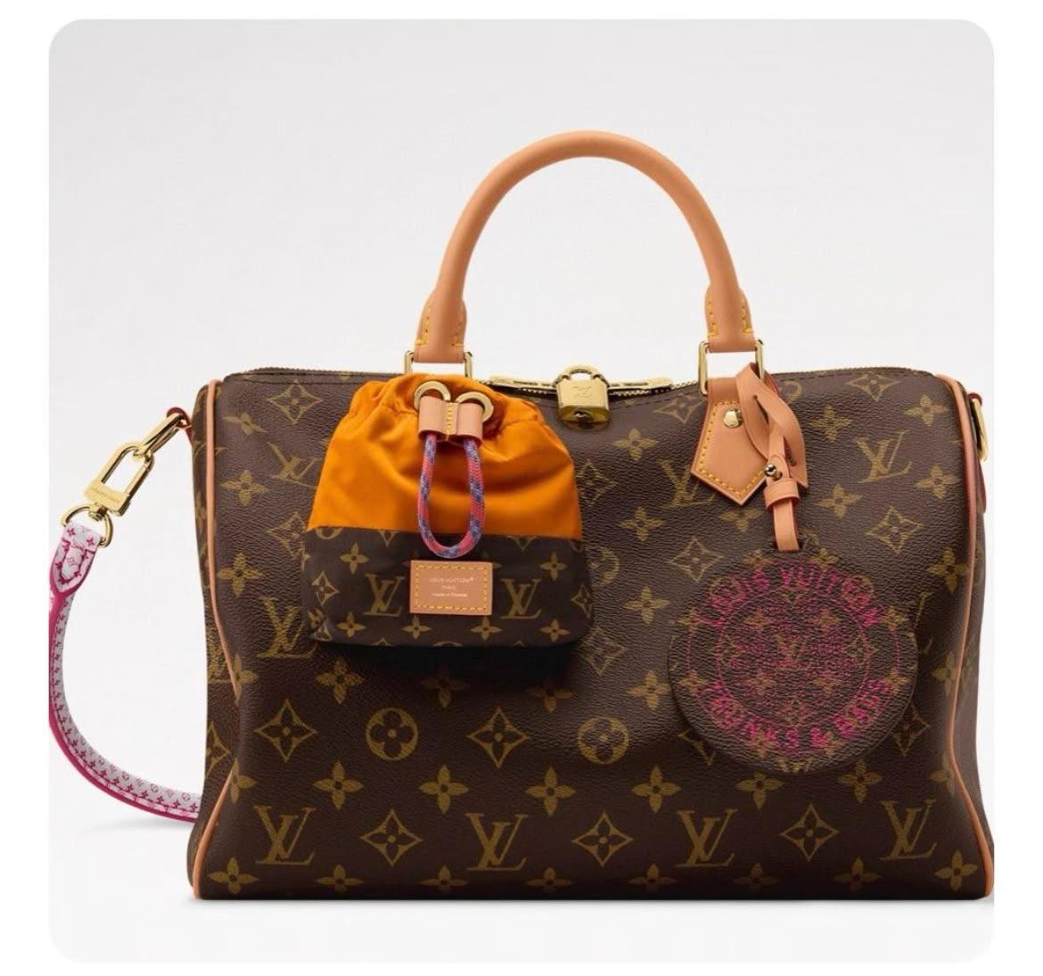 LV  speedy bag
