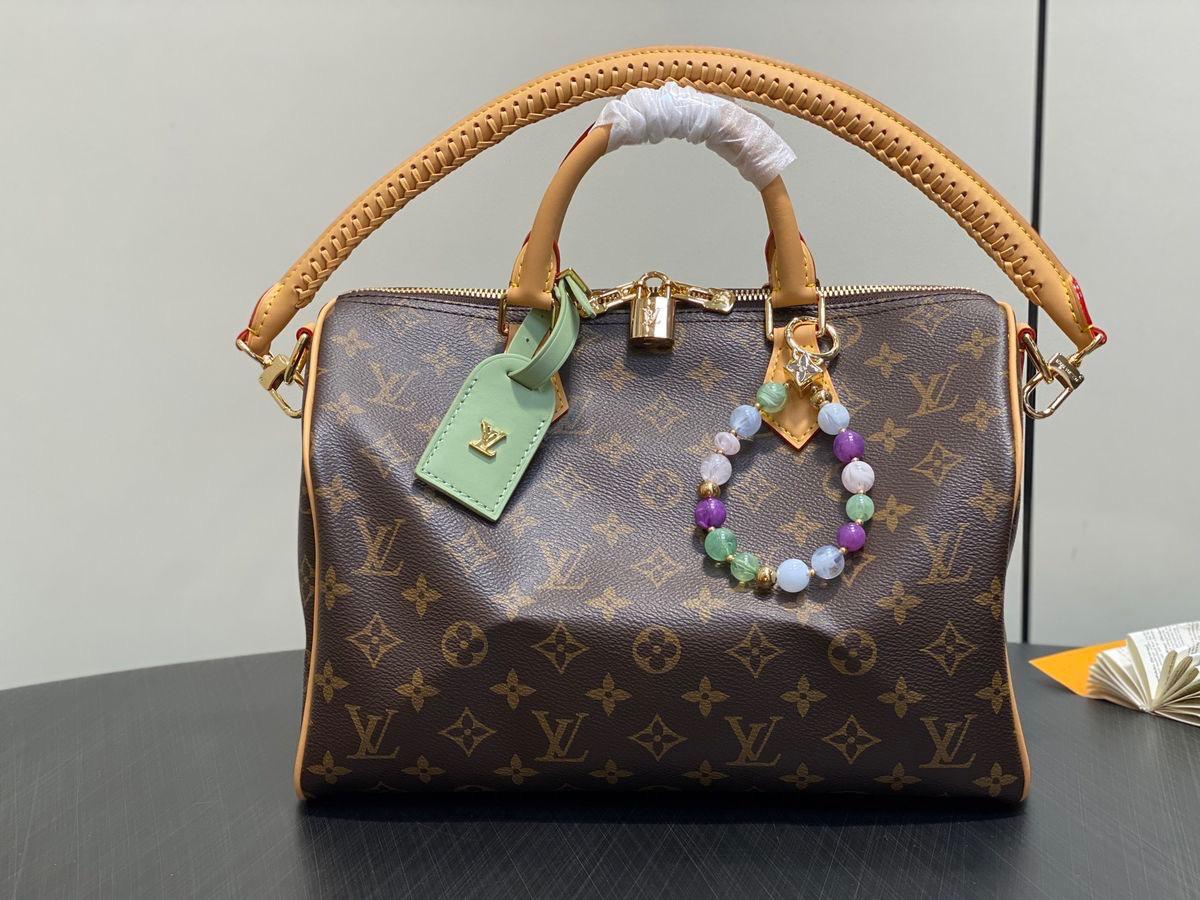 LV  speedy bag