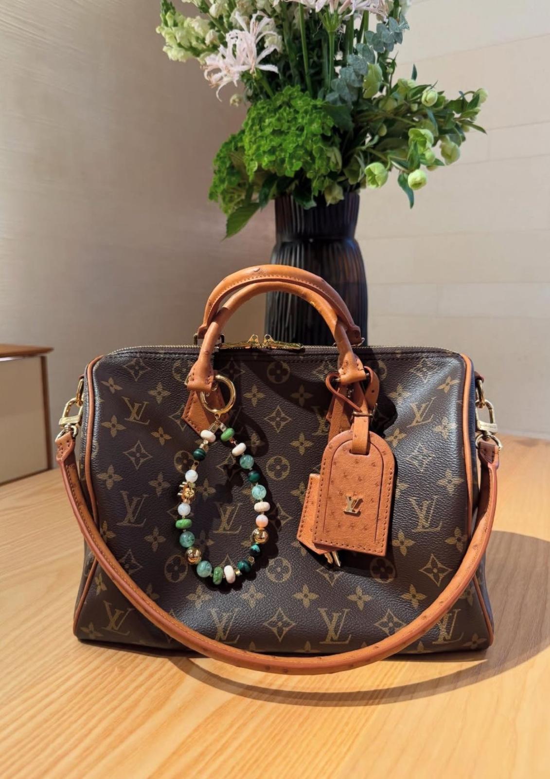 LV  speedy bag