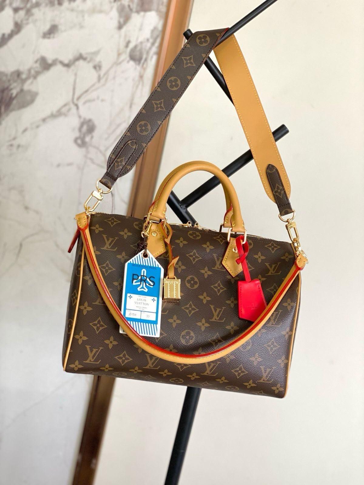 LV  speedy bag