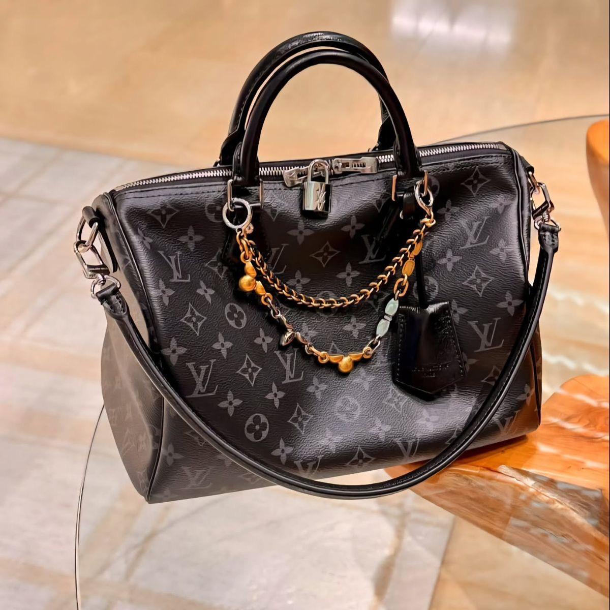 LV  speedy bag