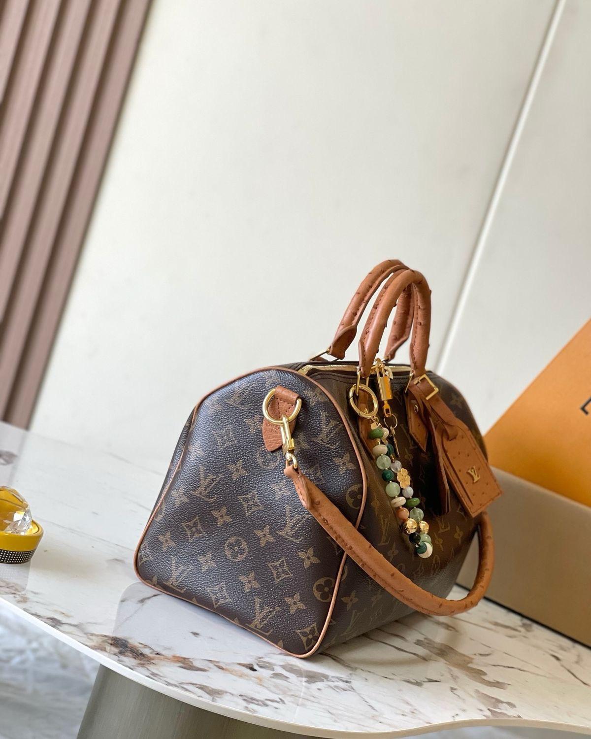 LV  speedy bag