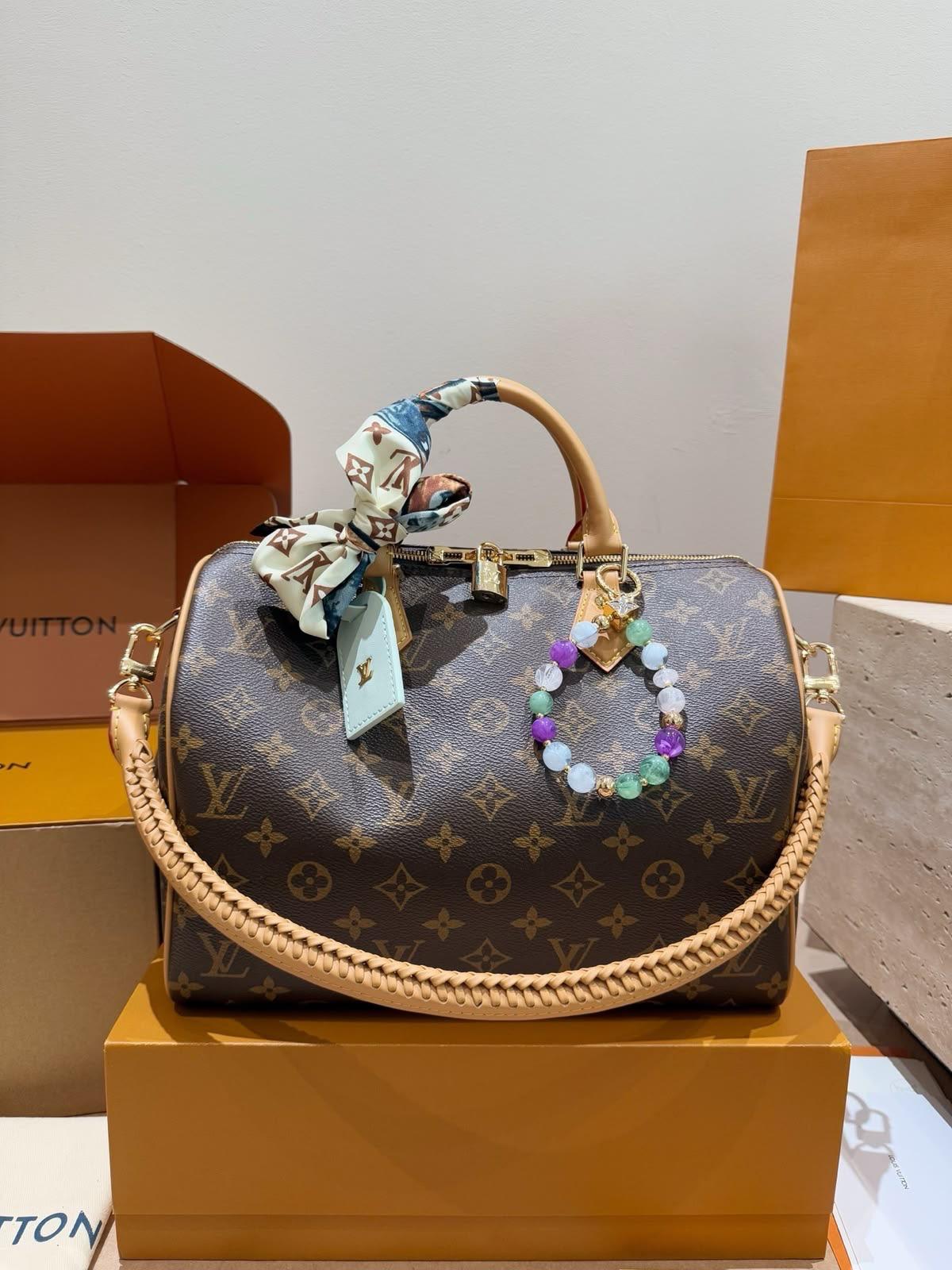 LV  speedy bag