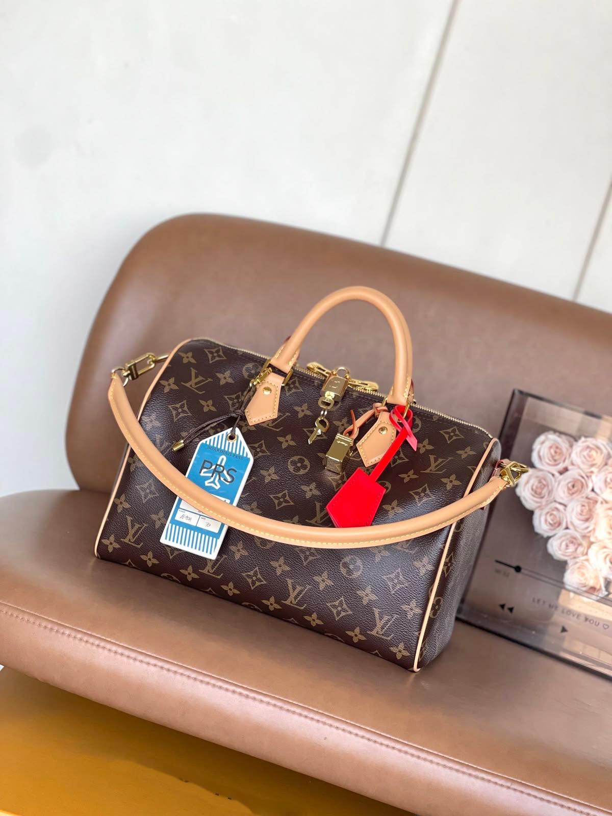 LV  speedy bag