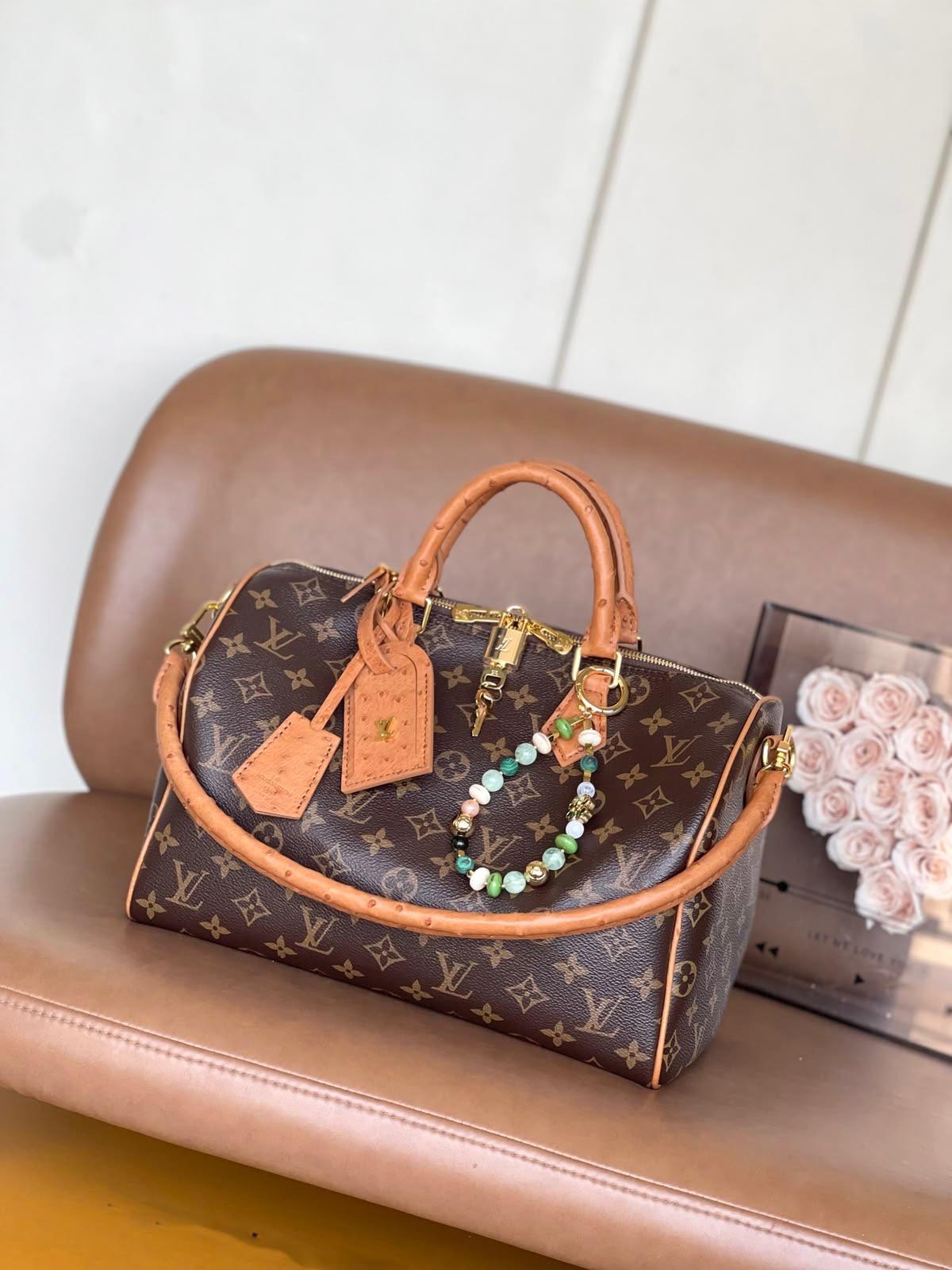 LV  speedy bag