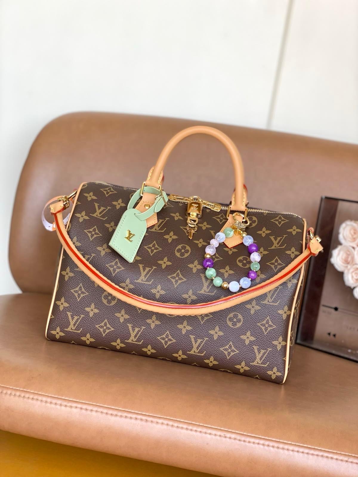 LV  speedy bag