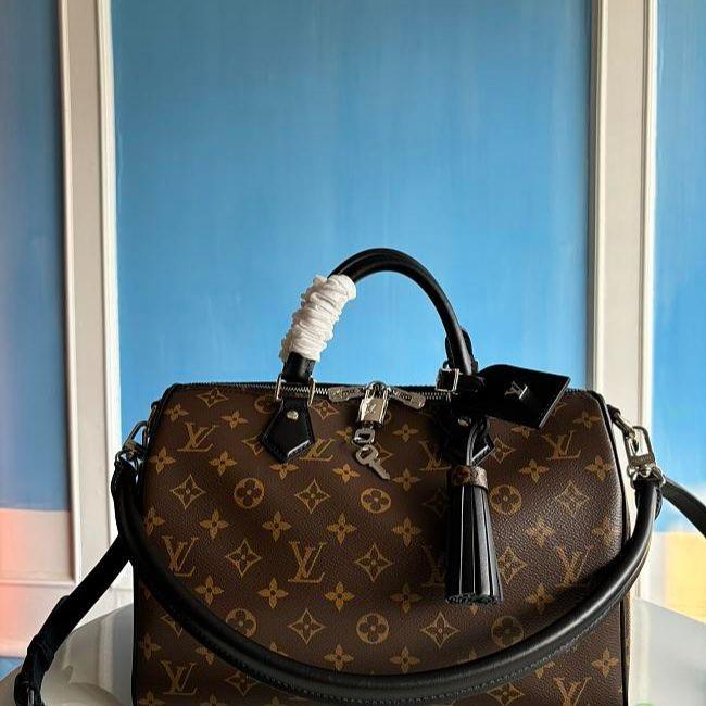 LV  speedy bag