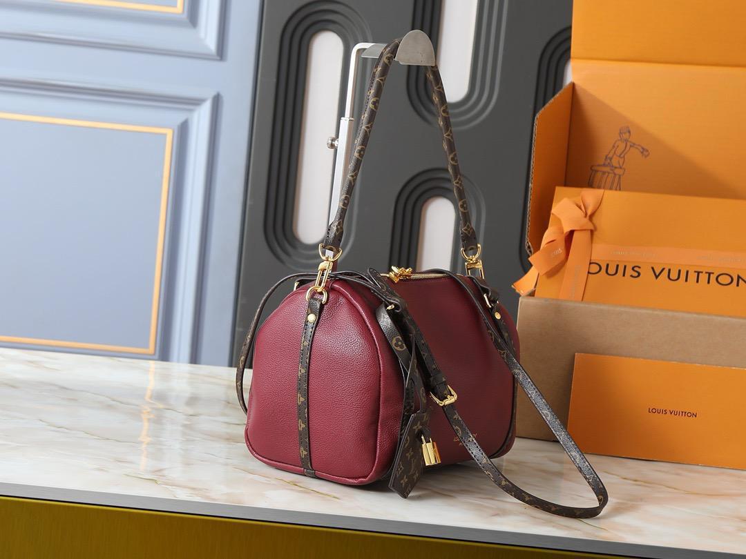 LV  speedy bag