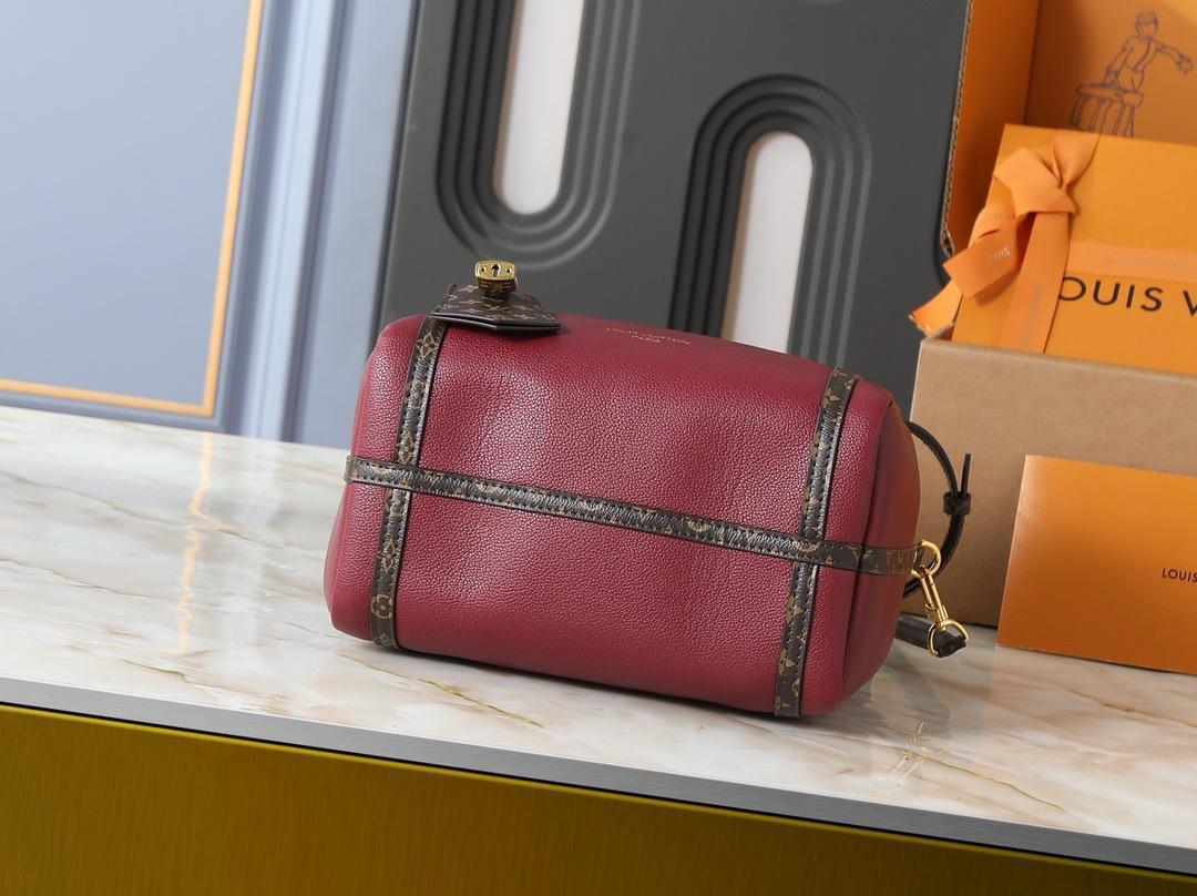 LV  speedy bag
