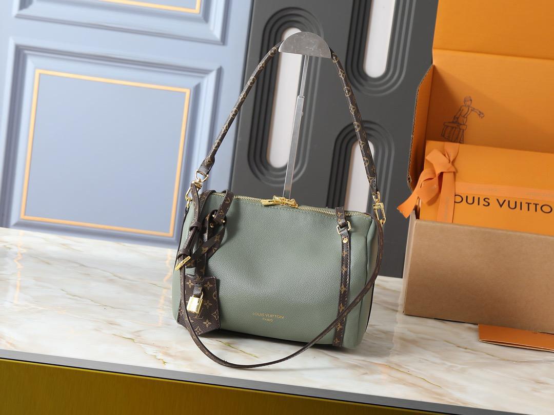 LV  speedy bag