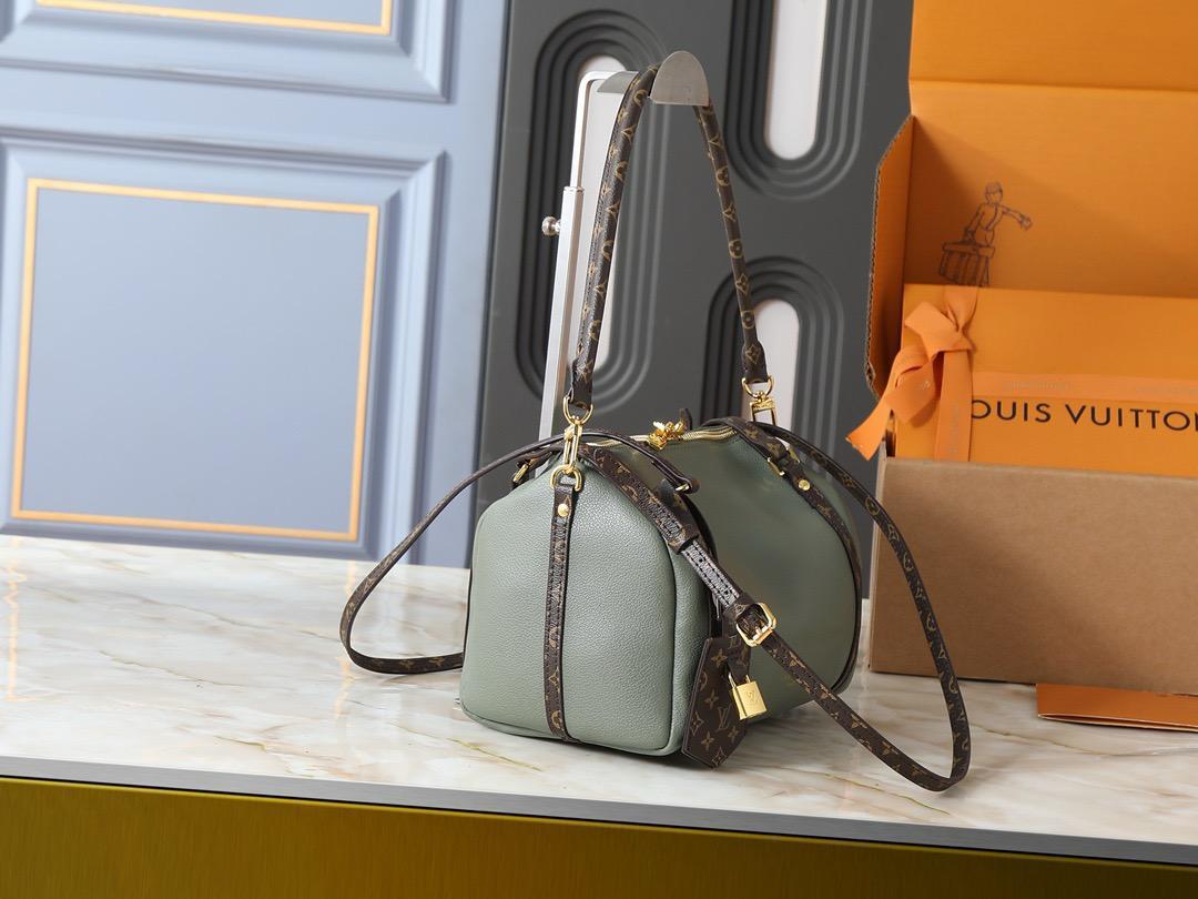 LV  speedy bag