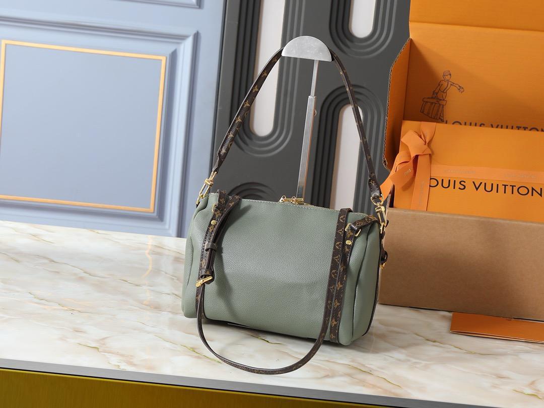 LV  speedy bag