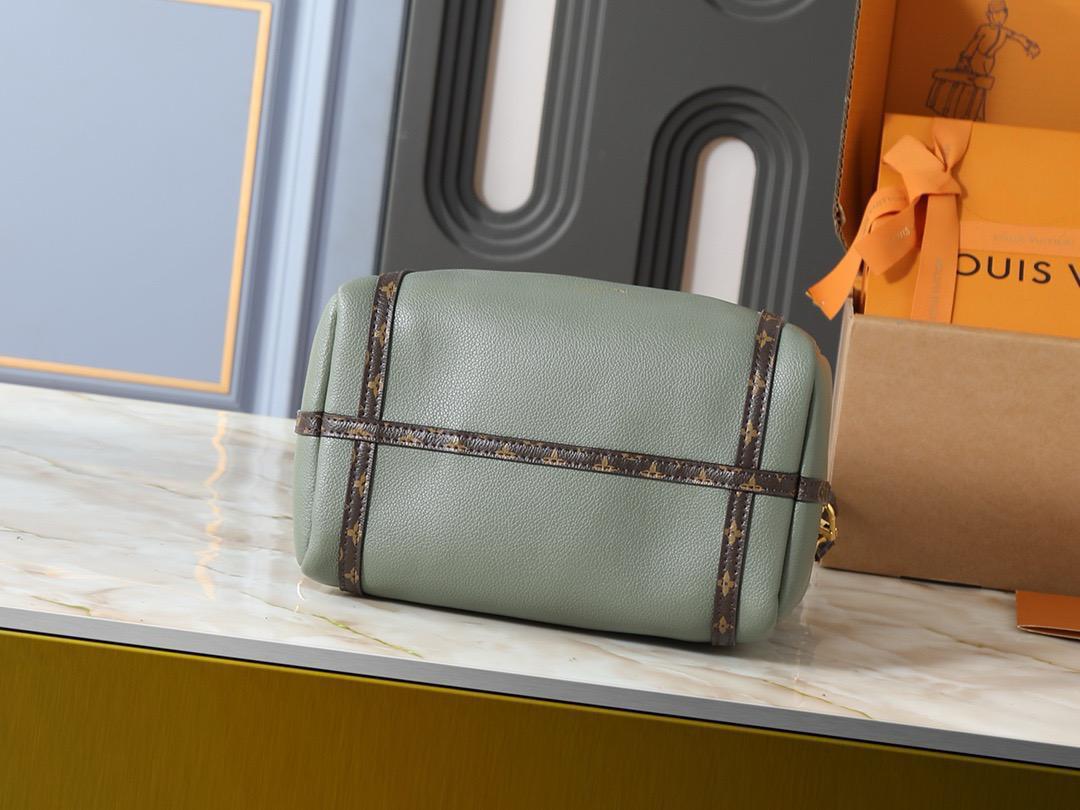 LV  speedy bag