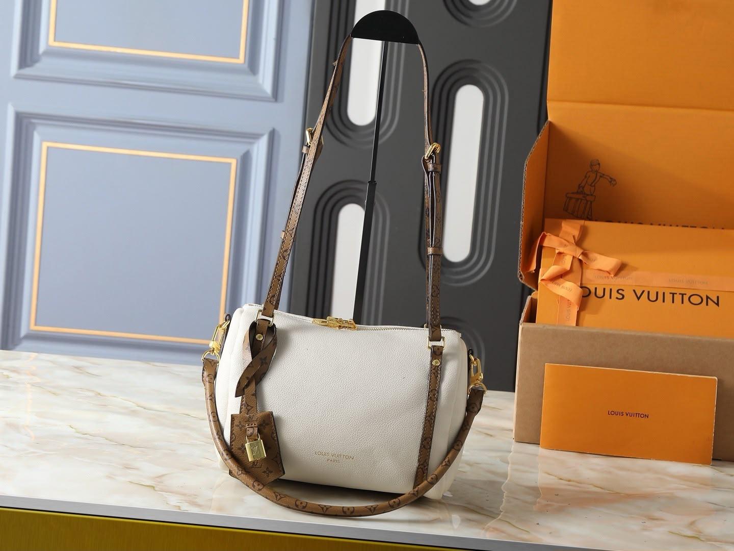 LV  speedy bag