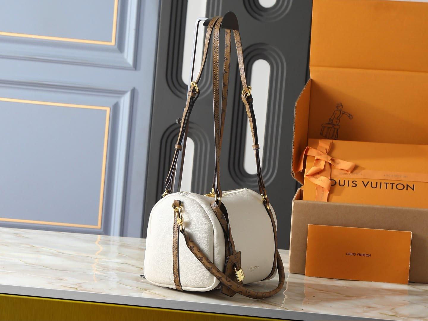 LV  speedy bag
