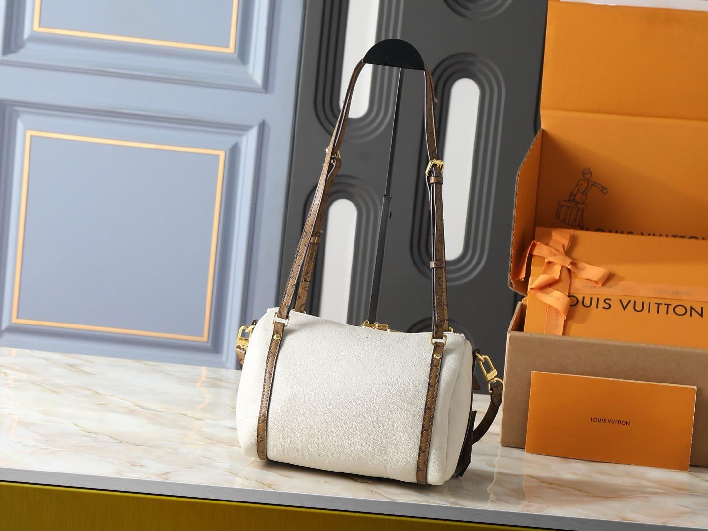 LV  speedy bag