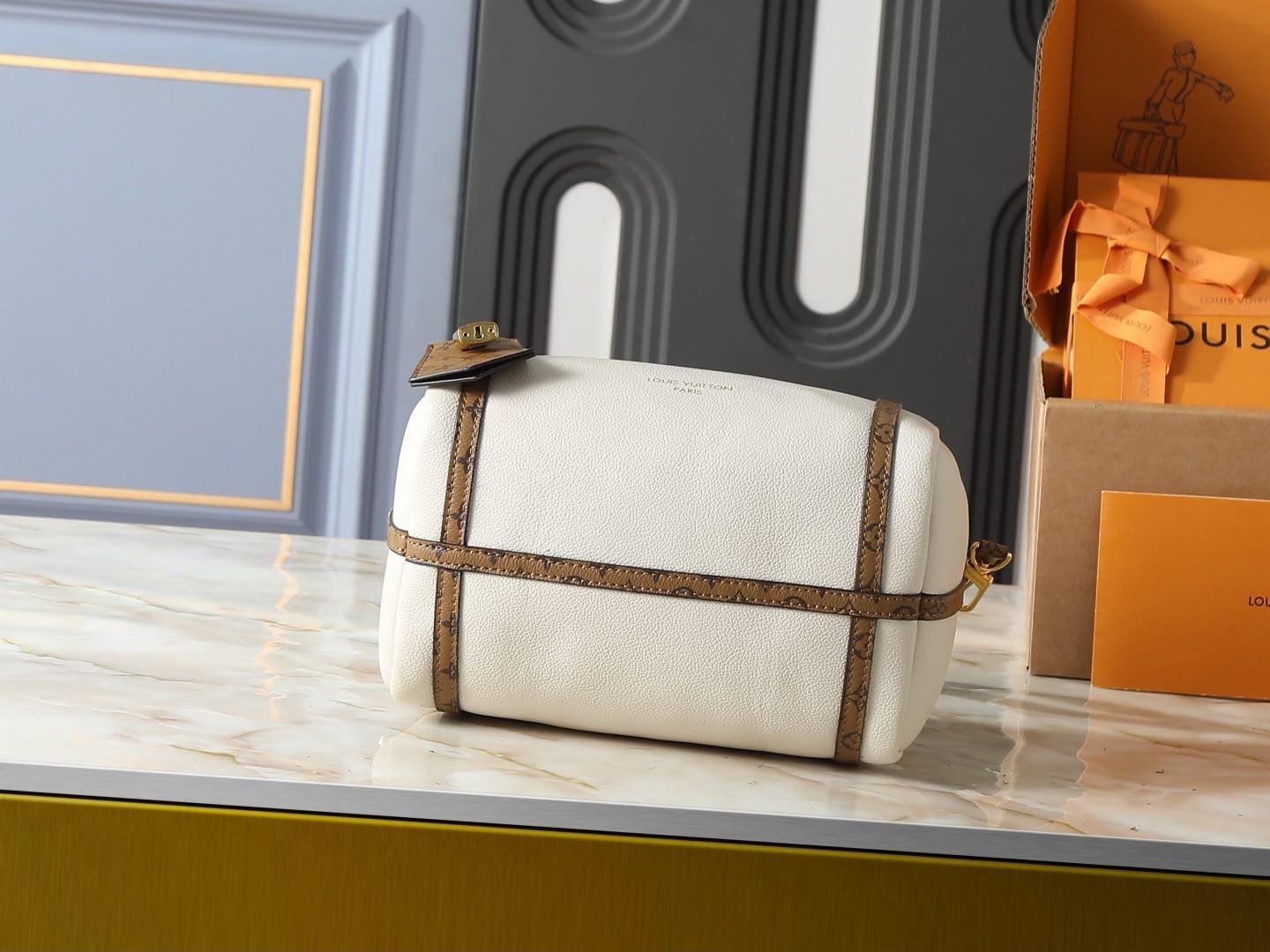 LV  speedy bag