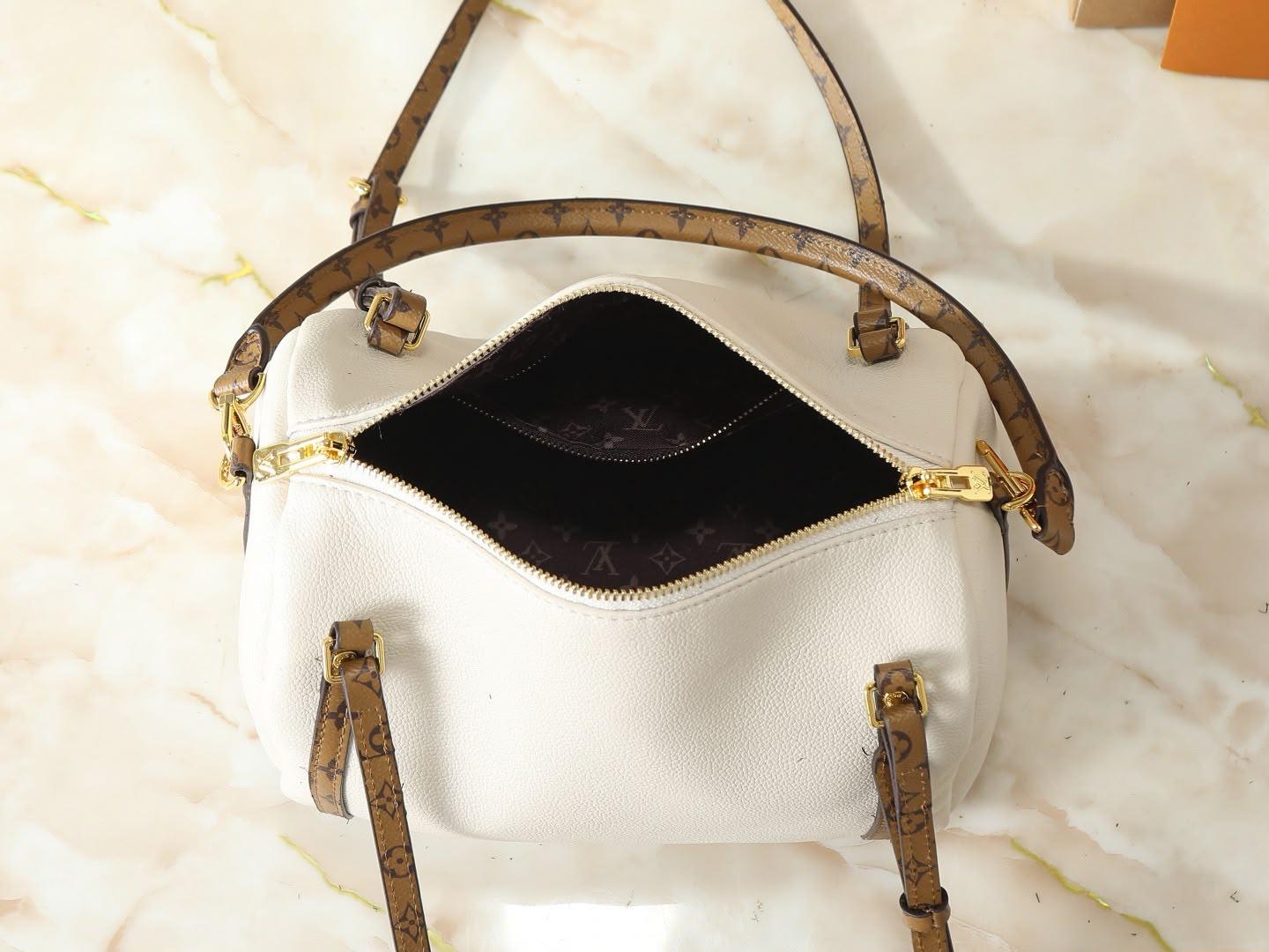 LV  speedy bag