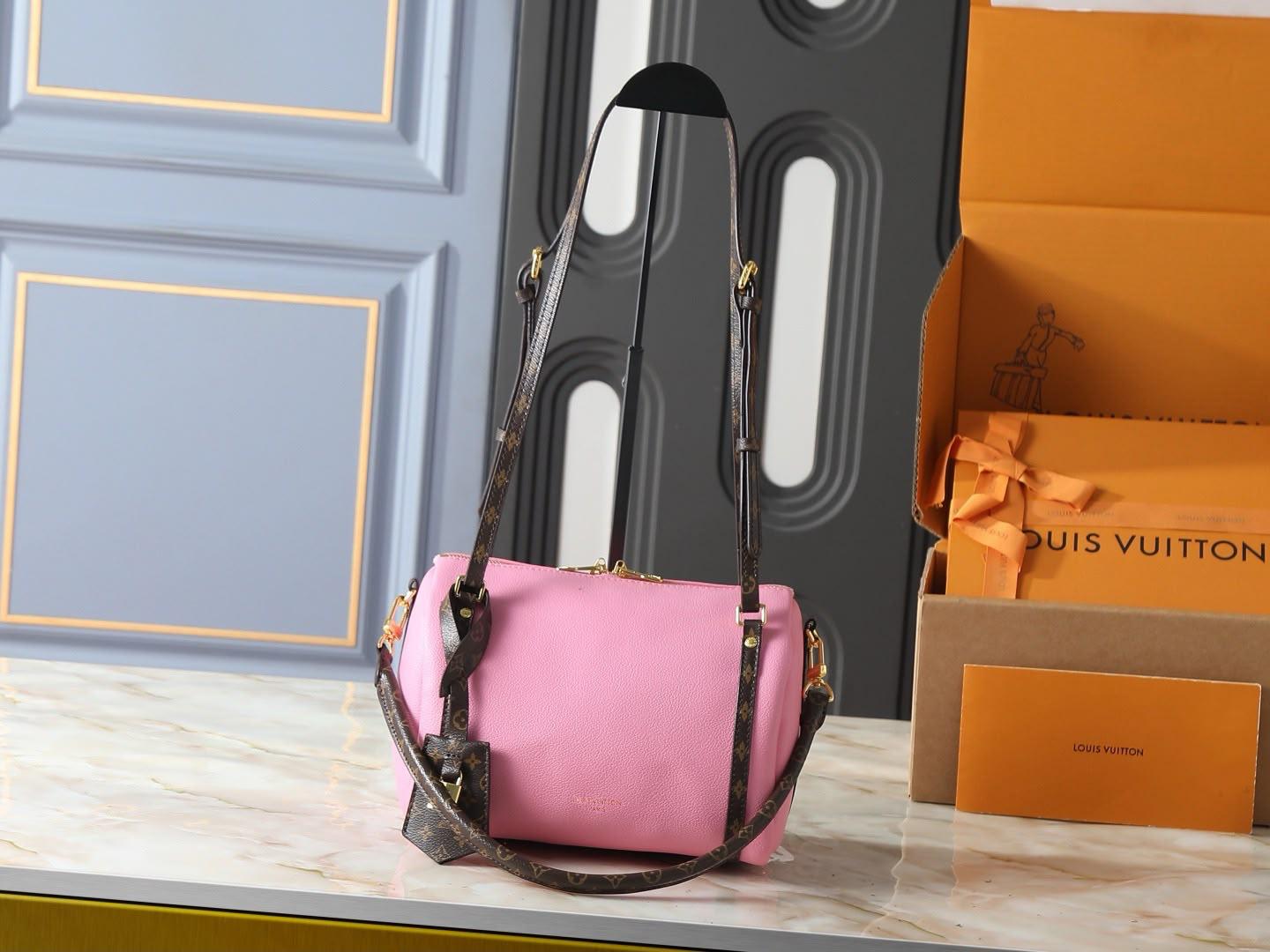 LV  speedy bag