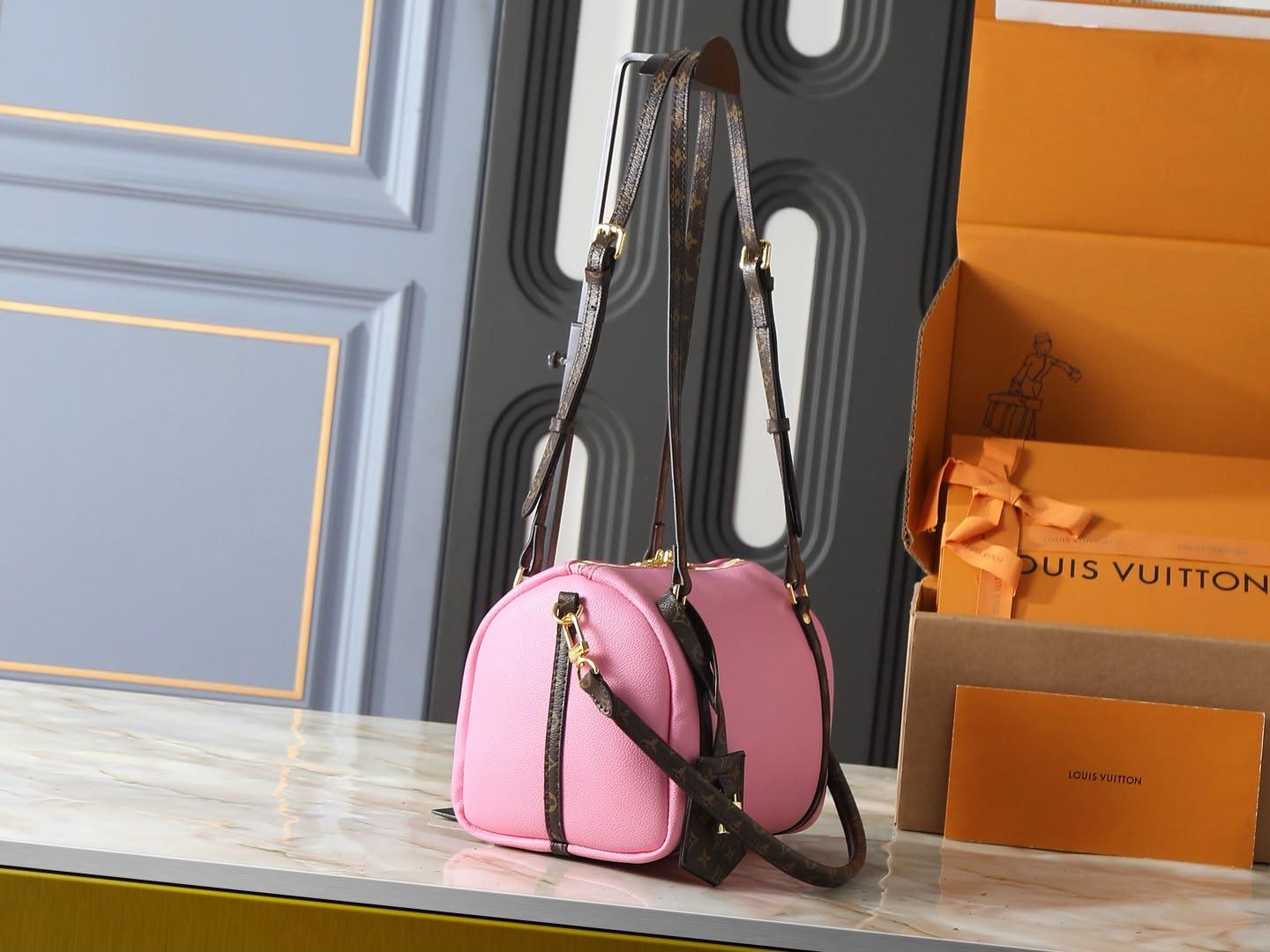 LV  speedy bag