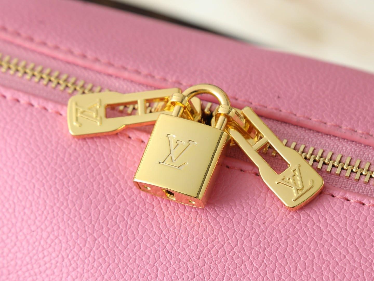 LV  speedy bag
