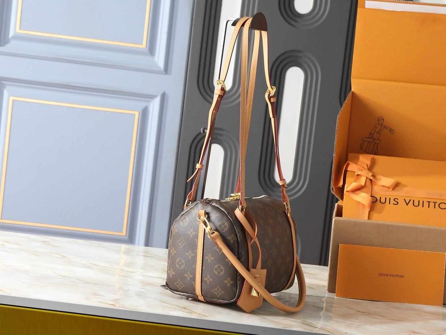 LV  speedy bag
