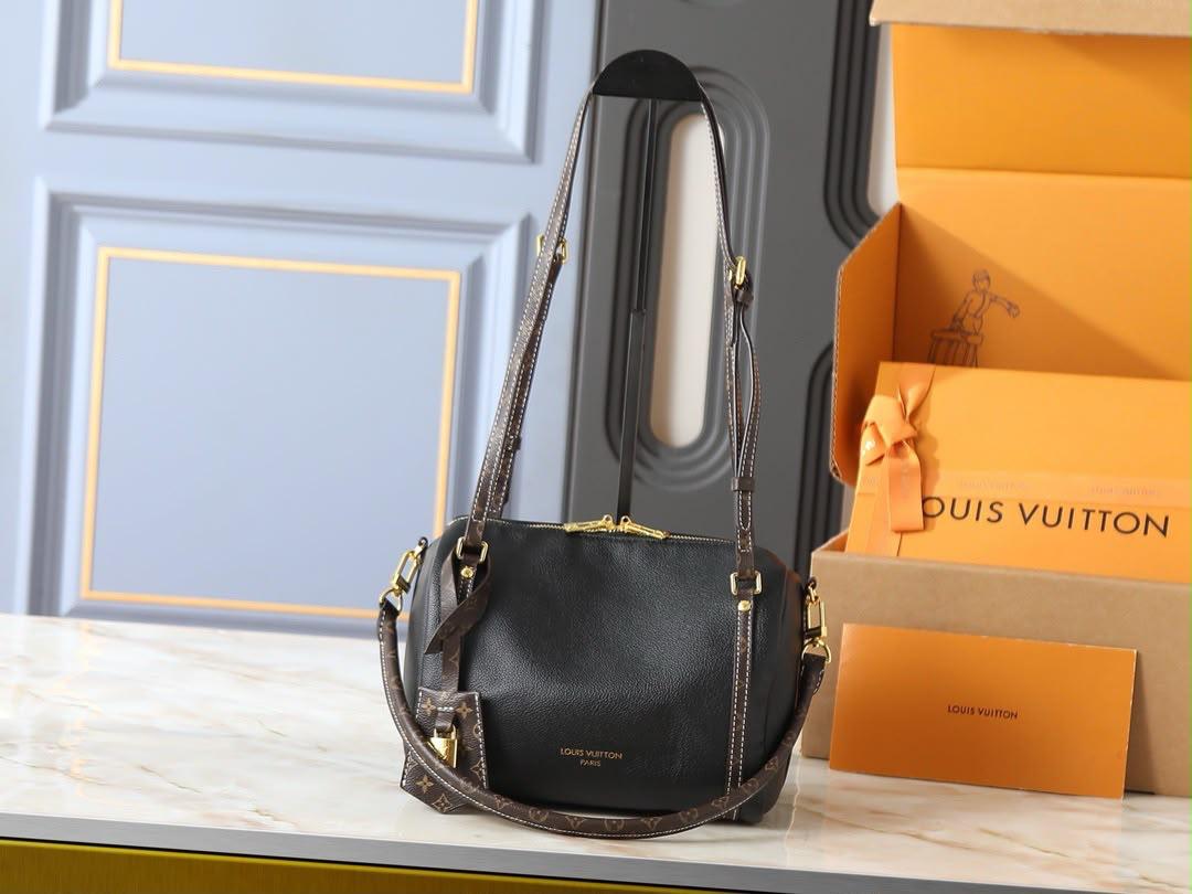 LV  speedy bag