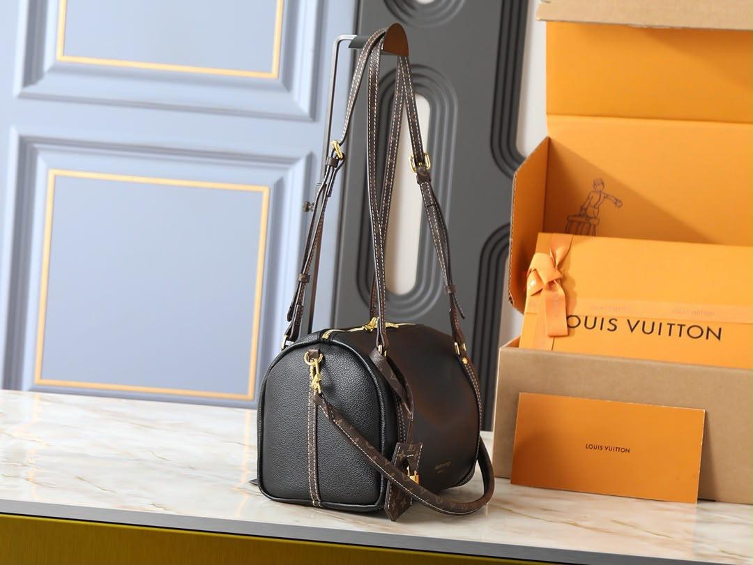 LV  speedy bag