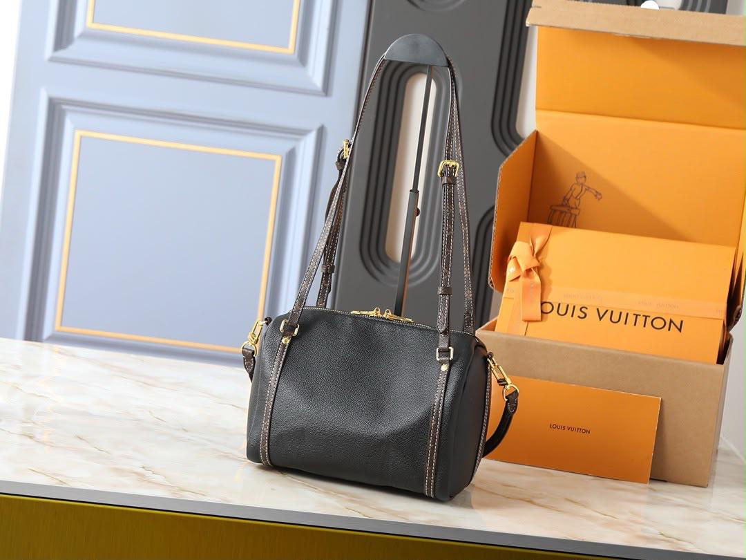 LV  speedy bag
