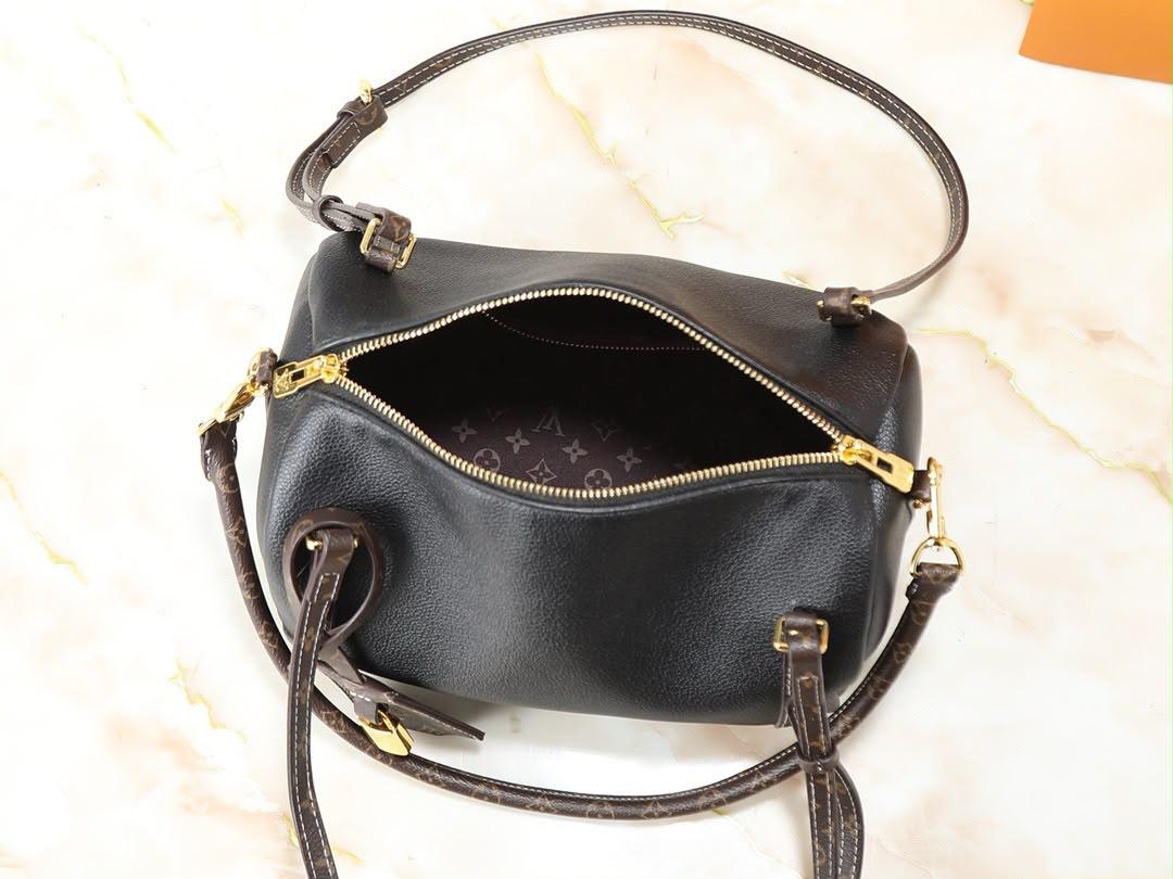 LV  speedy bag