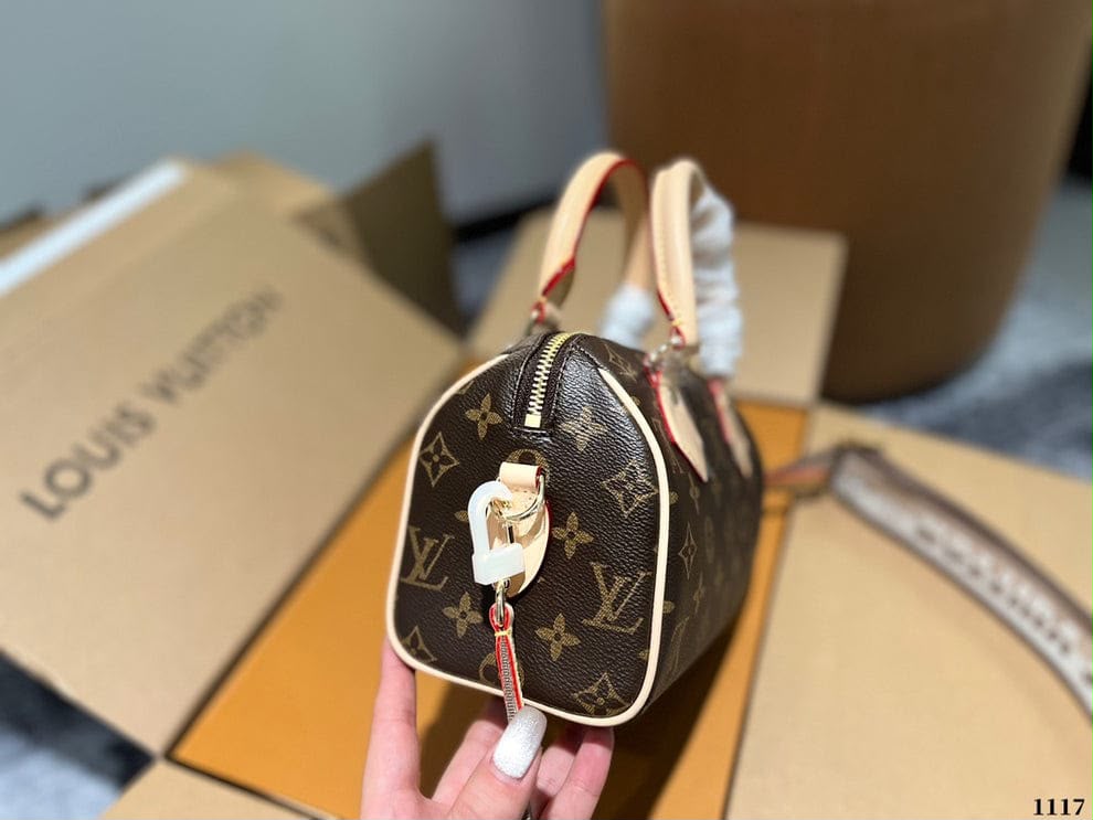 LV  speedy 20 bag