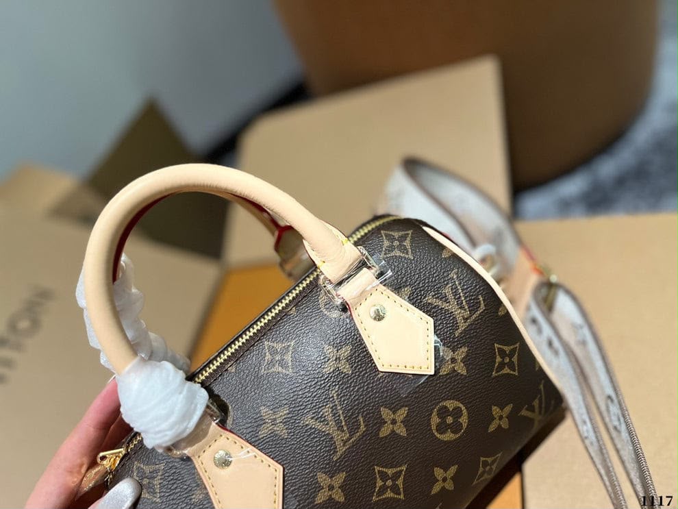 LV  speedy 20 bag