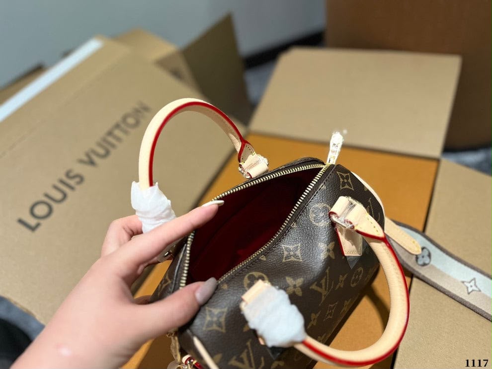 LV  speedy 20 bag