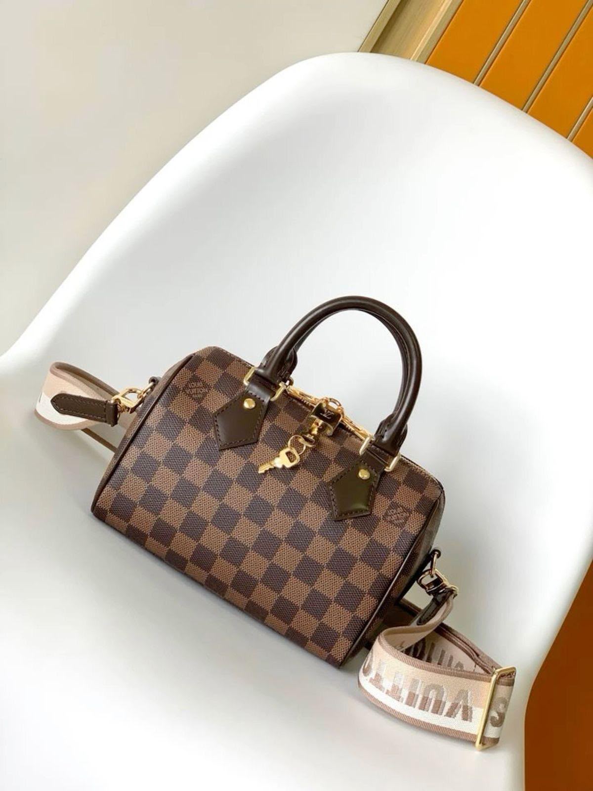 LV  speedy 20 bag