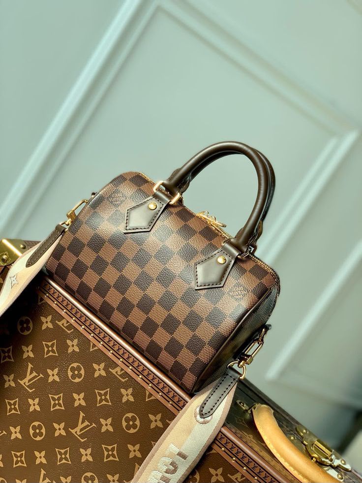LV  speedy 20 bag